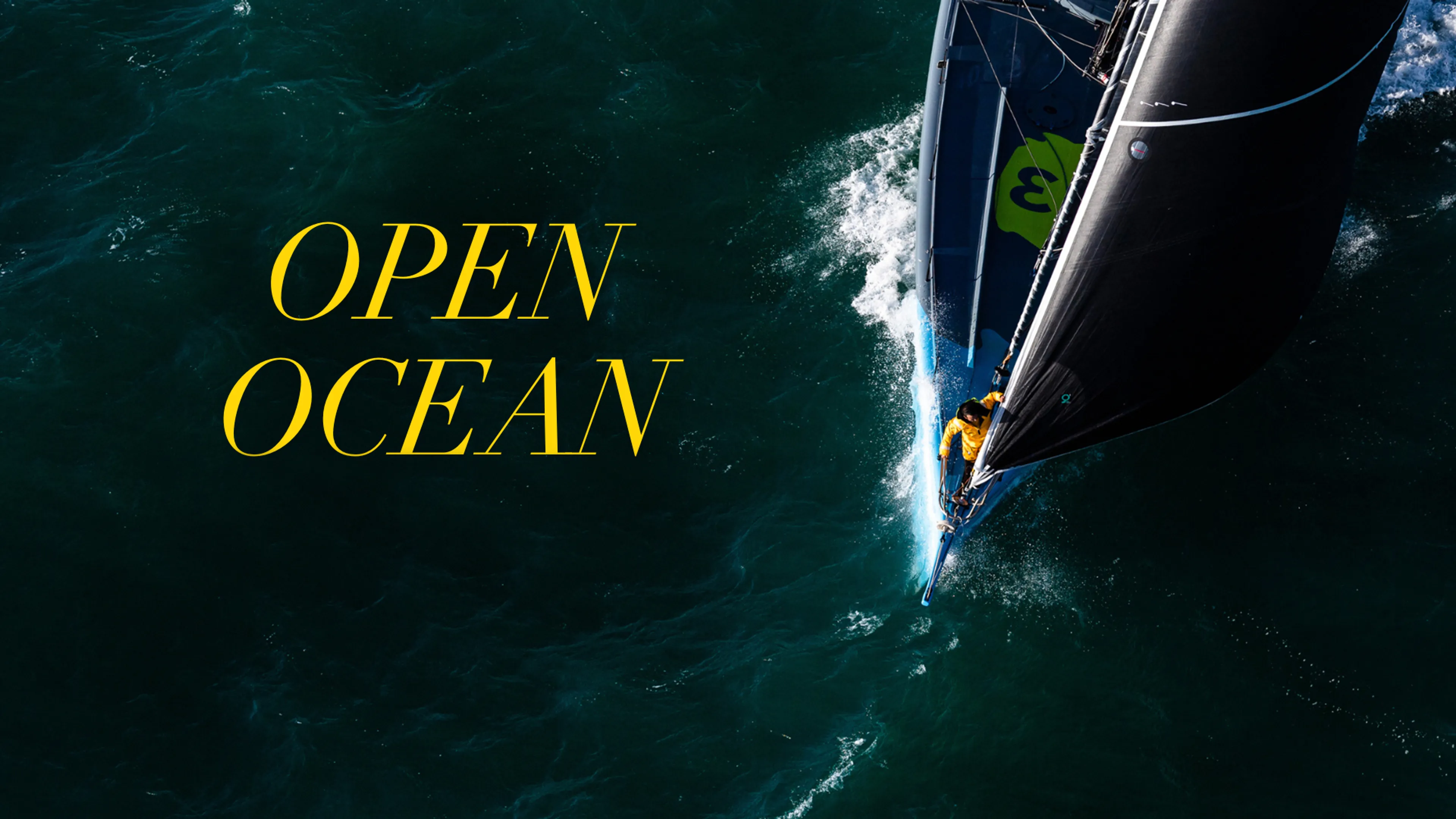 Open Ocean poster